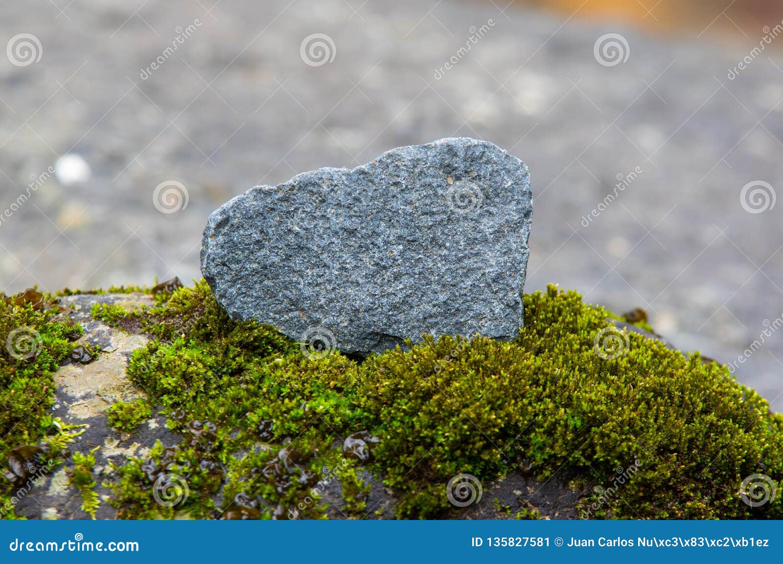 Lonely Stone